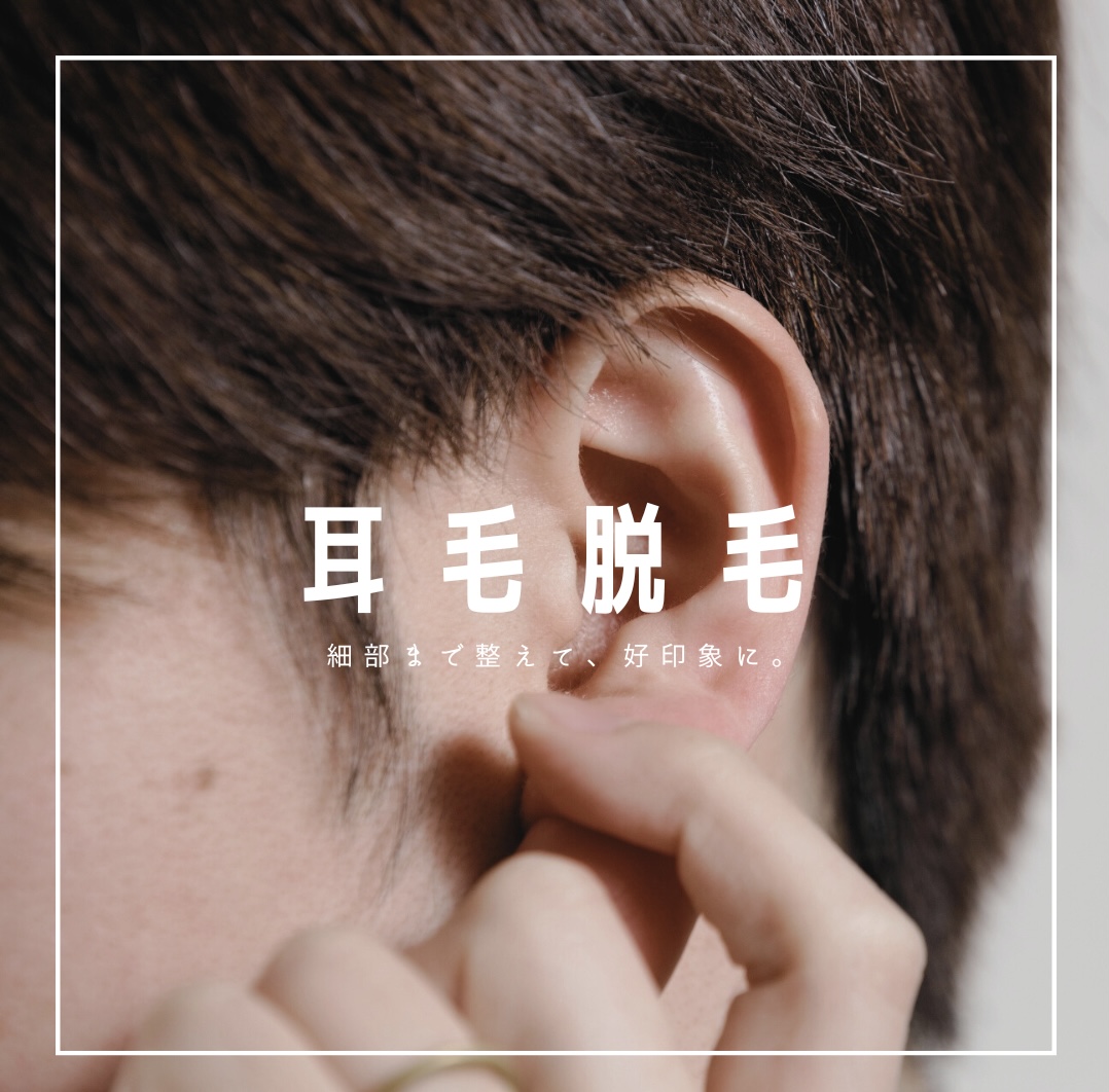画像の説明